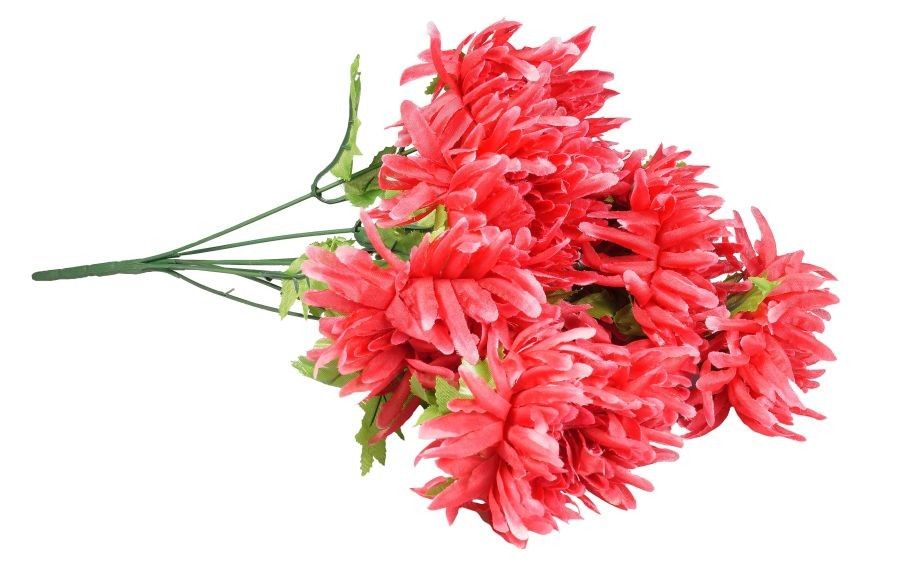 Chryzantema różowa - bukiet