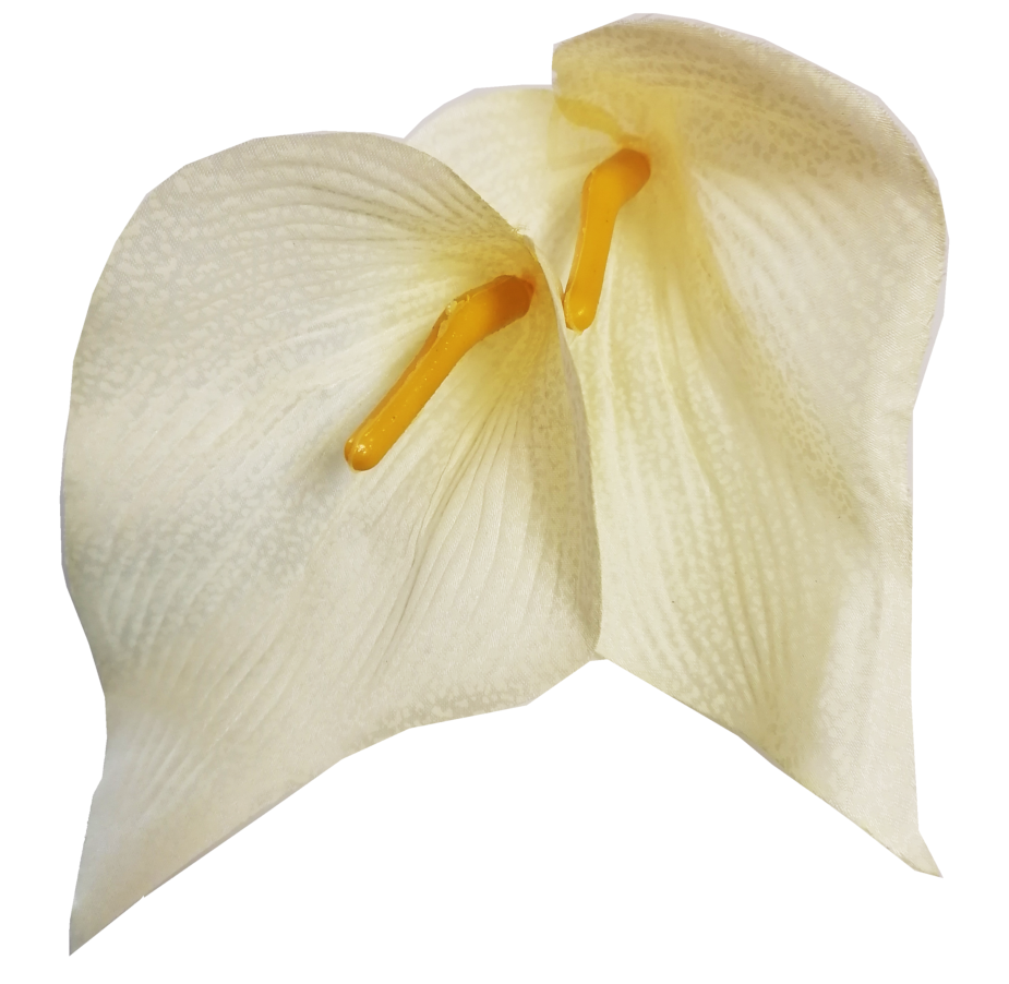 Kwiat wyrobowy - kalla kremowa