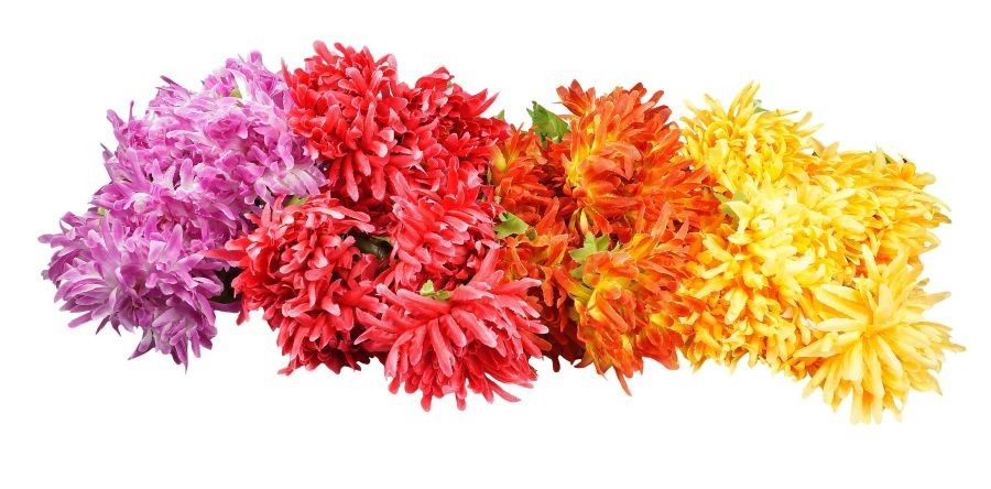 Czerwona chryzantema - bukiet