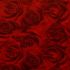 Papier karbowany róże czerwone
