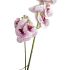 Storczyk/ Orchidea 85 cm