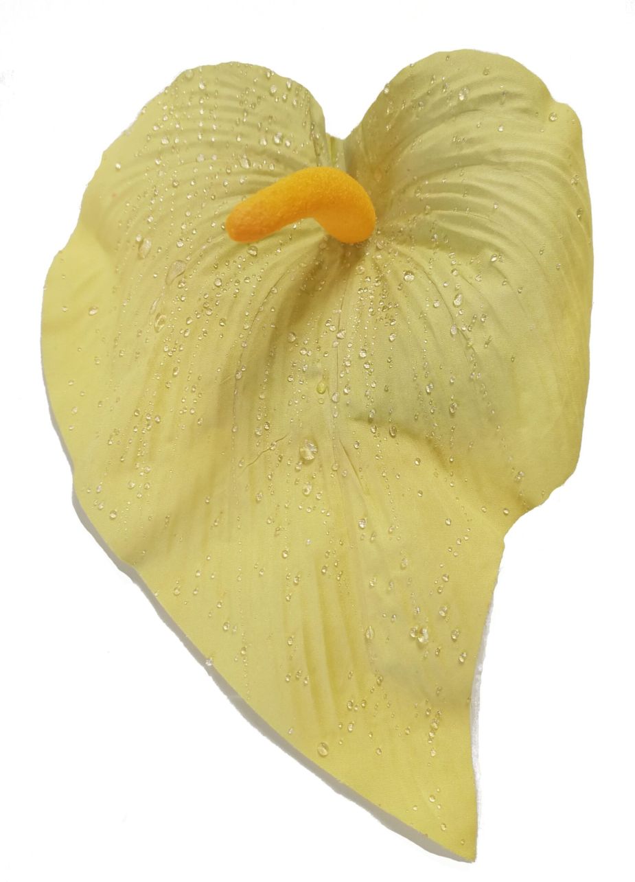 Kwiat wyrobowy - kalla cytrynowa