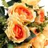 Róża z łodygą - pomarańczowo - ecrue (12 szt.)