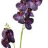 Storczyk / Orchidea Fioletowy 85cm
