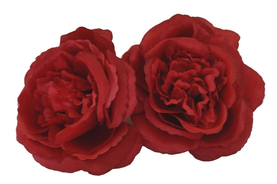 Róża angielska czerwona 12 szt. paczka