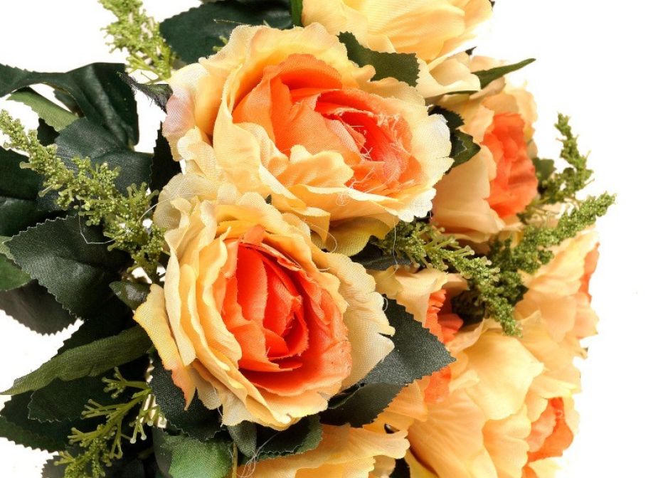 Róża z łodygą - pomarańczowo - ecrue (12 szt.)