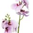 Storczyk/Orchidea jasnofioletowy 85 cm