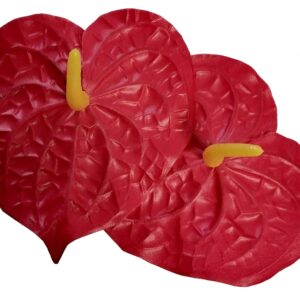 Kwiat wyrobowy - anturium czerwone