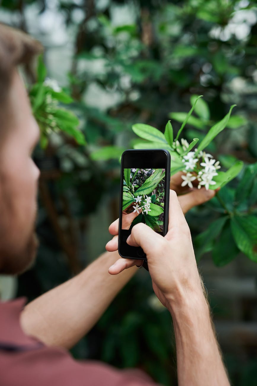 man taking a photo of flower