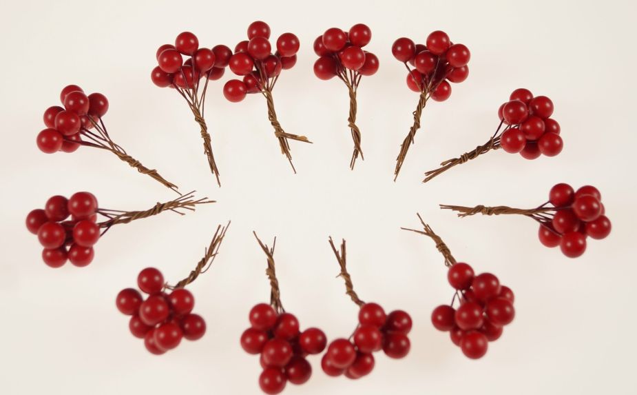 Jarzębina / op. 12szt.