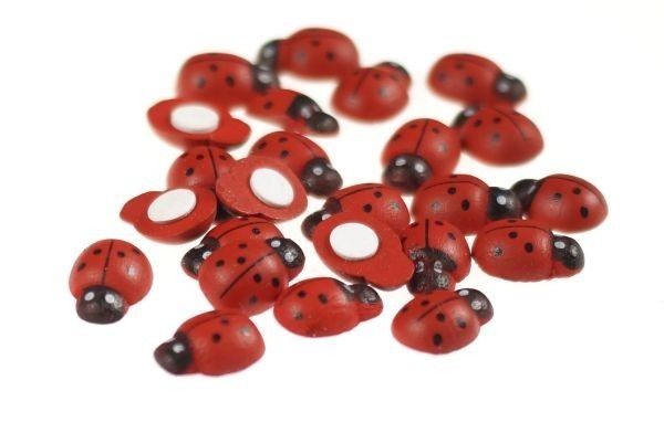 Biedronka na przylepkę (2 cm x 1,3 cm)