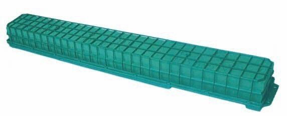 Garnet wielki |Long Victoria®