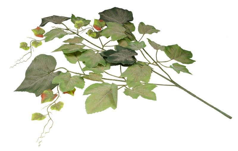 Gałązka winogrona op.12 szt.