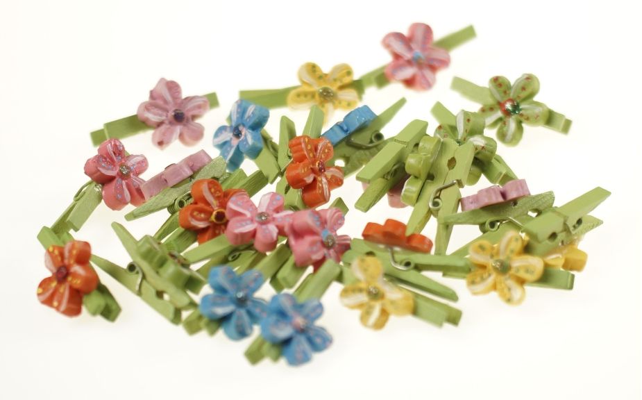 Kwiatuszek na klamerce.