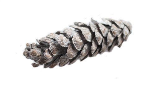 Szyszka dekoracyjna-biała