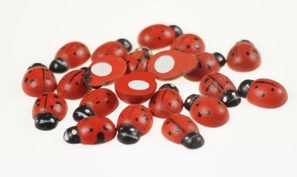 Biedronka na przylepkę (2,5 cm x 1,6 cm)