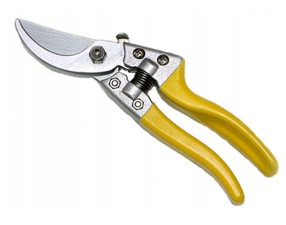 Sekator - Victoria®