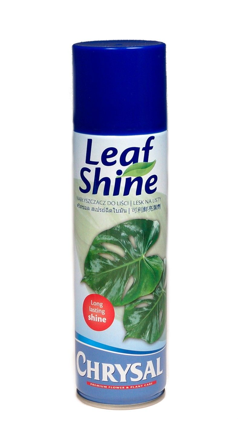 Nabłyszczacz | CHRYSAL® - 250 ml