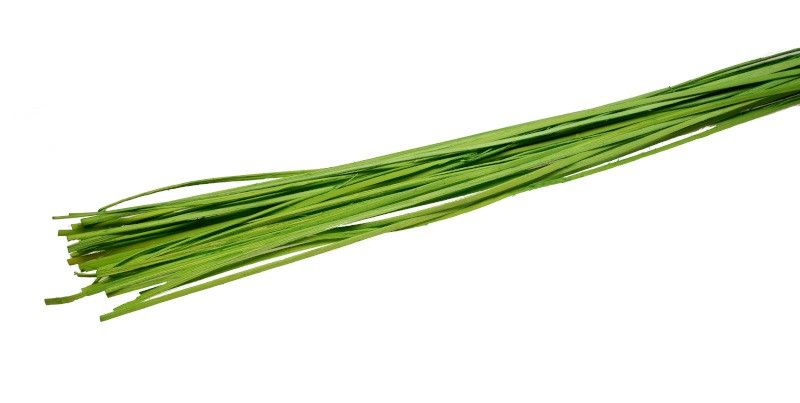 Rattan prosty 1 m - zielony