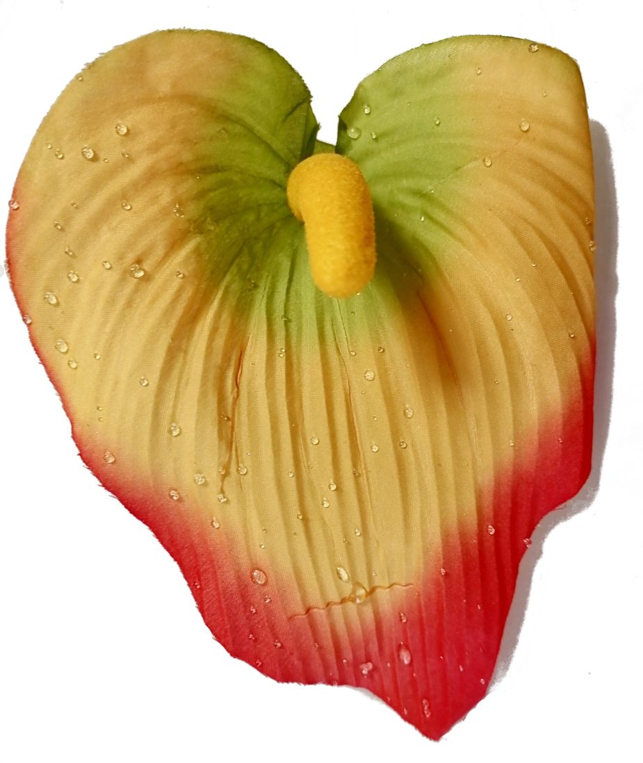 Kwiat wyrobowy - KALLA duży zielono- żółto-czerwony